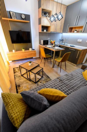 Studio Šišarka Divčibare